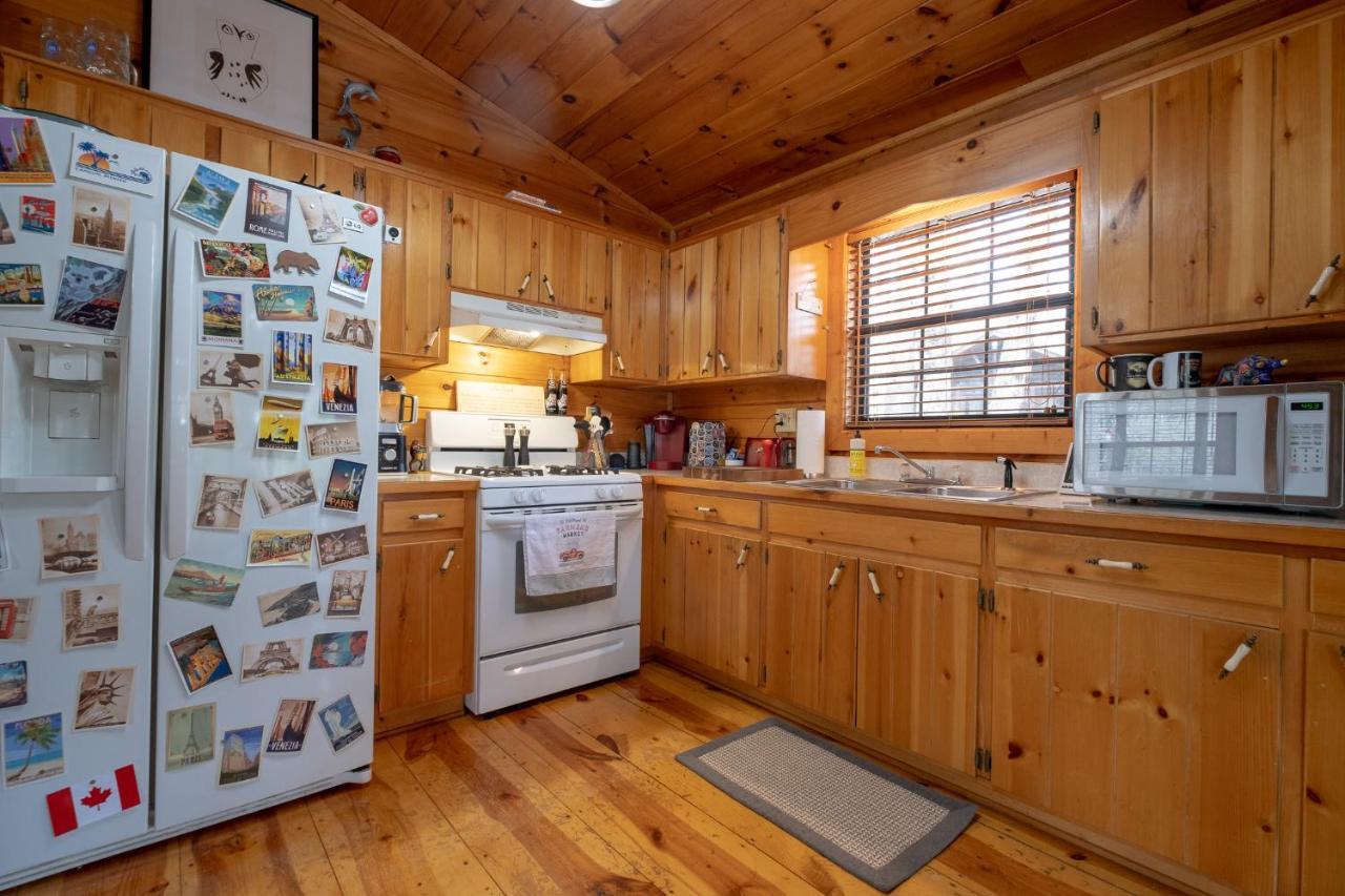 Three Dog Night - Pet-Friendly Cabin With Hot Tub Villa Blue Ridge Exterior foto