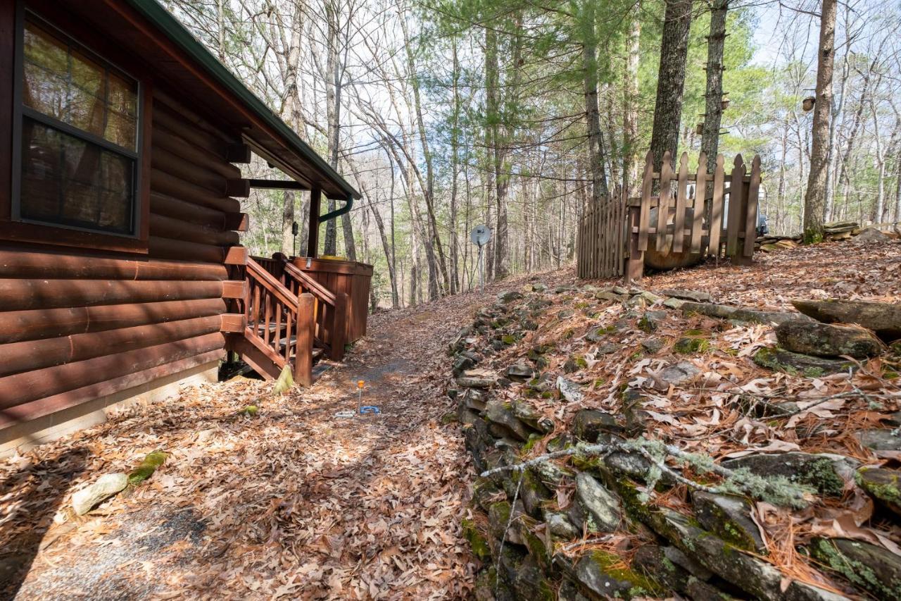 Three Dog Night - Pet-Friendly Cabin With Hot Tub Villa Blue Ridge Exterior foto